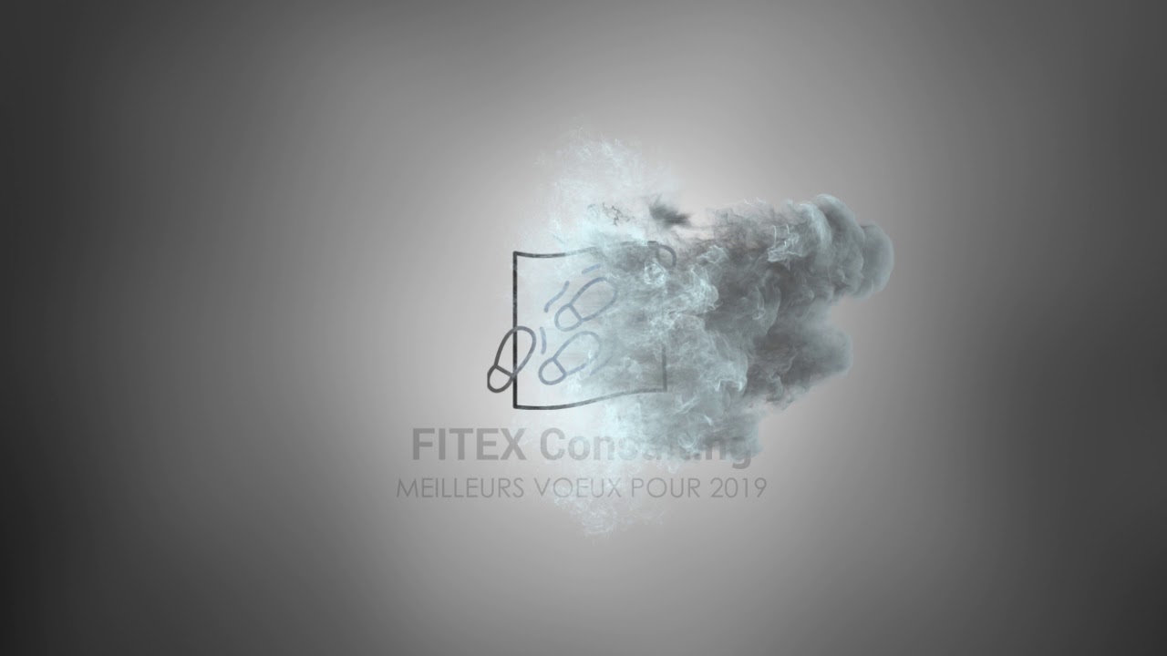 Voeux Fitex 2019